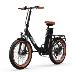 Vélo Électrique OT16-2