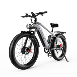 Vélo Électrique DUOTTS F26