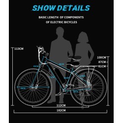 Vélo Électrique DUOTTS C29