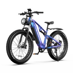 Vélo Électrique DUOTTS E26