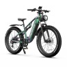 Vélo Électrique DUOTTS E26