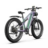 Vélo Électrique DUOTTS E26