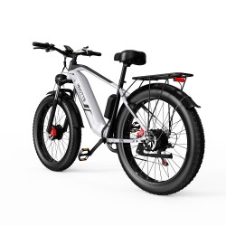 Vélo Électrique DUOTTS F26