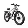 Vélo Électrique DUOTTS F26