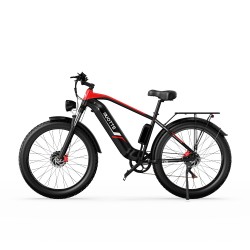 Vélo Électrique DUOTTS F26